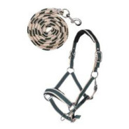 Set de licol mousqueton Kopenhagen COB