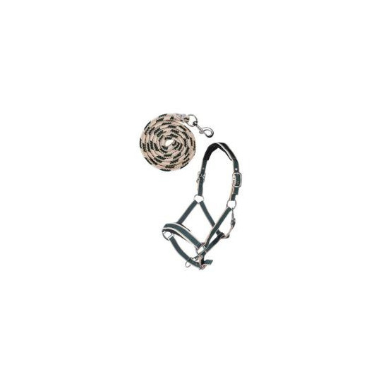 Set de licol mousqueton Kopenhagen COB