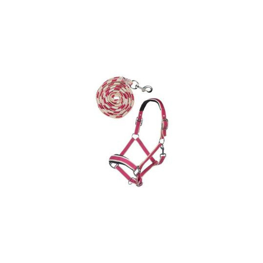 Set de licol mousqueton Kopenhagen PONEY