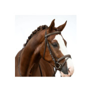 BRIDON LOU MARRON