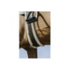 Sangle élastique NORTON Smooth marron