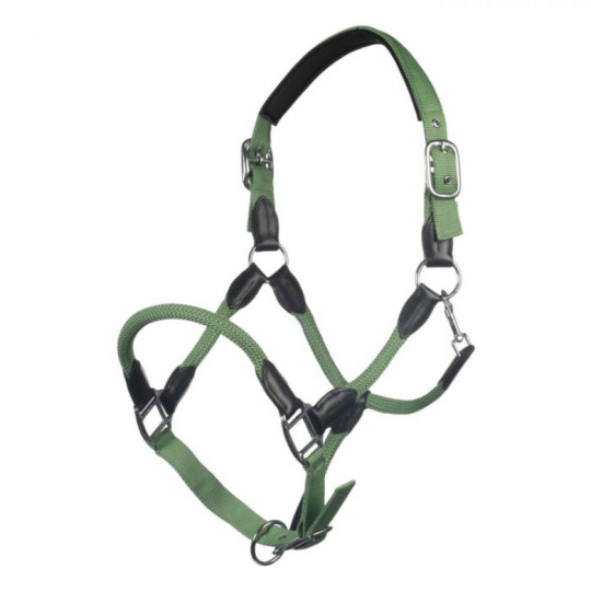 Licol carlotta JADE GREEN