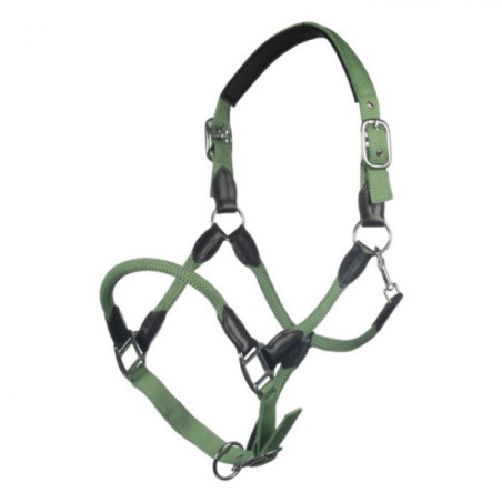 Licol carlotta JADE GREEN