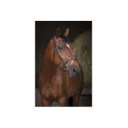Bridon NORTON PRO Vague marron