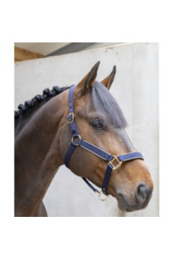 Hansy Licol et Longe Navy Gold