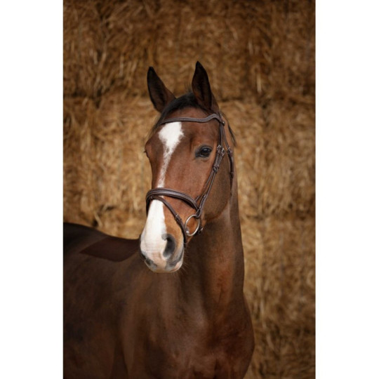 Bridon NORTON PRO - Perle Marron