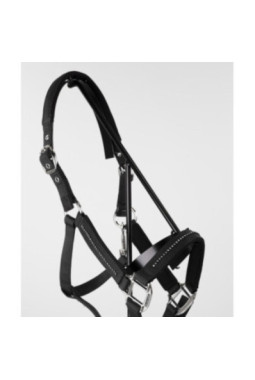 Licol et Longe AMOUR Noir