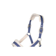 Licol -Arezzo- Bleu Indigo