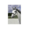 Bridon NORTON PRO Vague NOIR