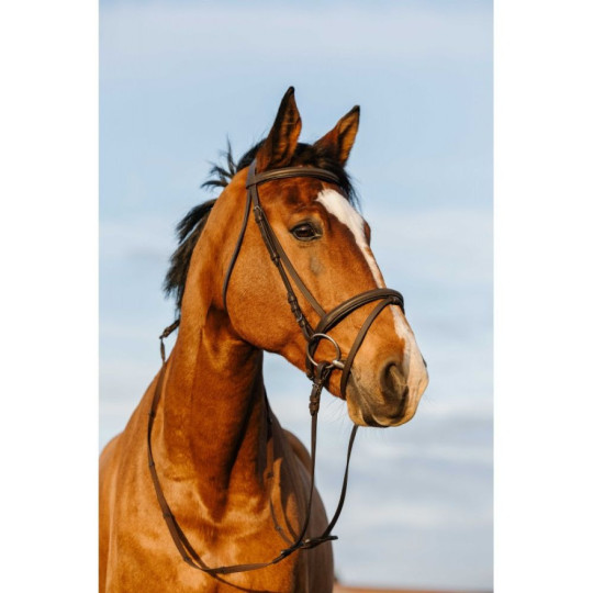 Bridon RIDING WORLD - Doublé muserolle combinée Marron