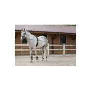 Longues rênes RIDING WORLD cuir/corde 10M