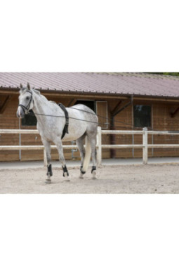 Longues rênes RIDING WORLD cuir/corde 10M