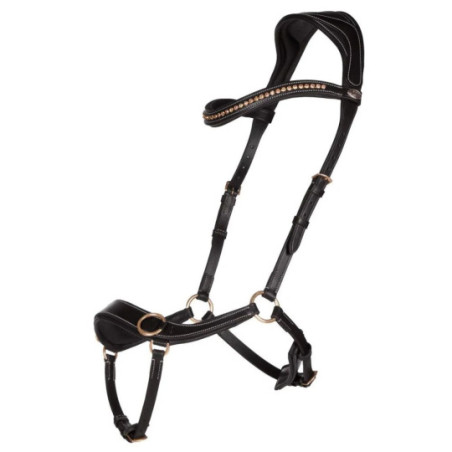 Bridon sans mors Anatomical Noir