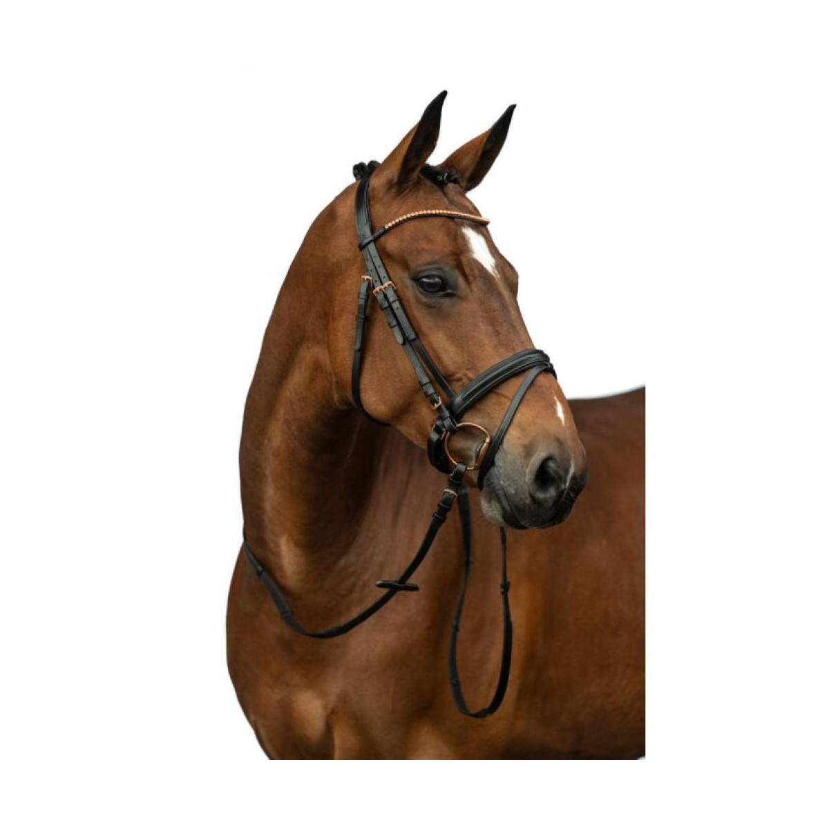 Bridon Rosegold Glamour Style