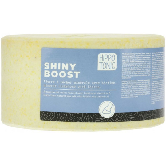 Pierre à sel HIPPOTONIC Shiny boost 3Kg