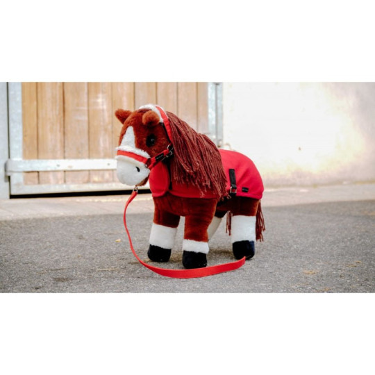 Mini-licol+longe PONY ACADEMY