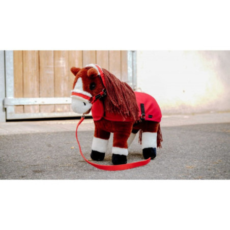 Mini-licol+longe PONY ACADEMY