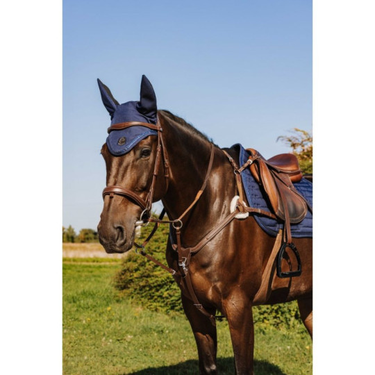 Collier de chasse NORTON PRO 5 points Marron