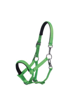 Licol poulain Millie