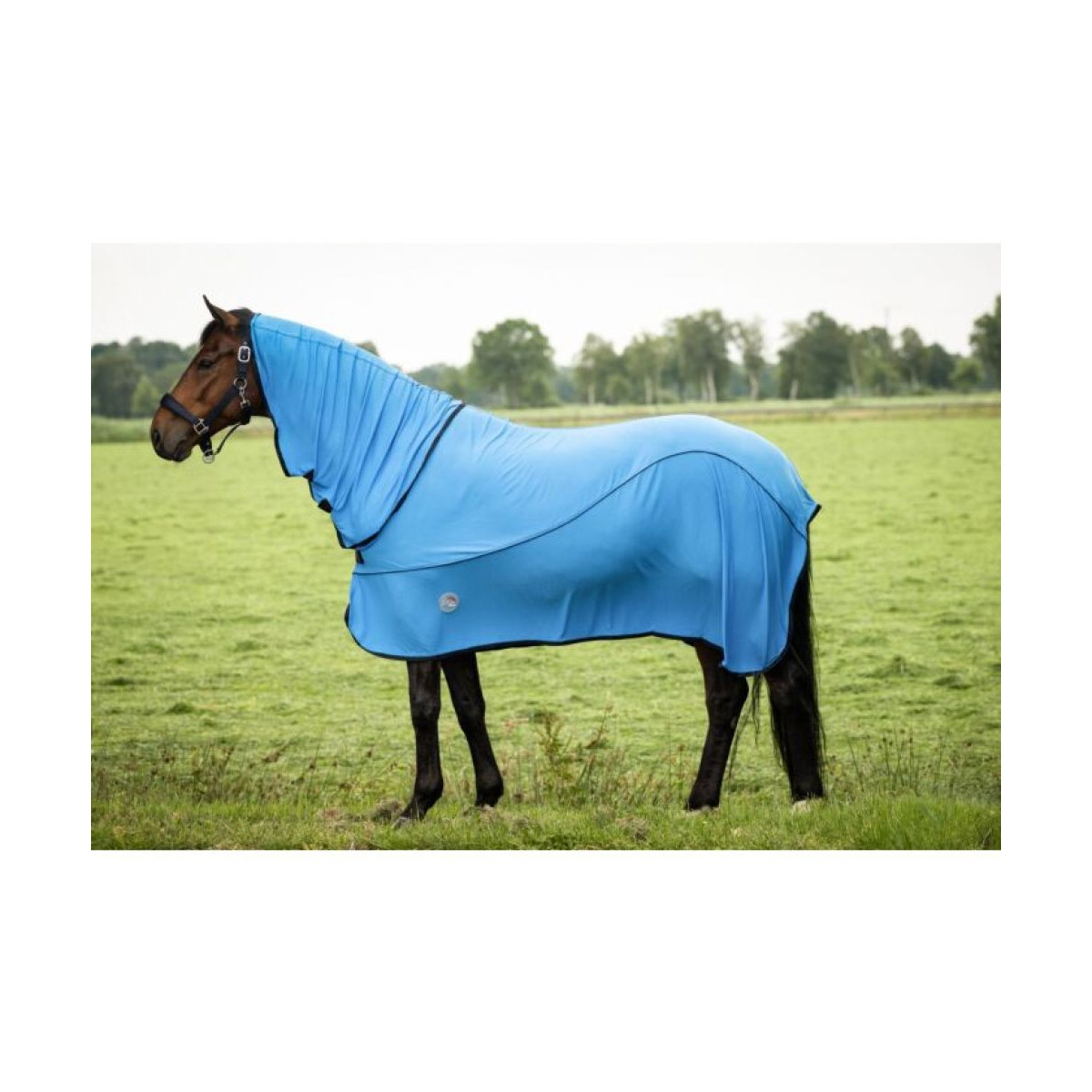 Couverture réfrigérante -EquineCarePro-