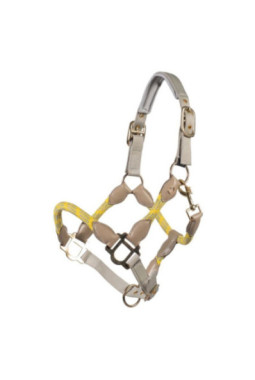 Licol -Limone Sportive- Jaune