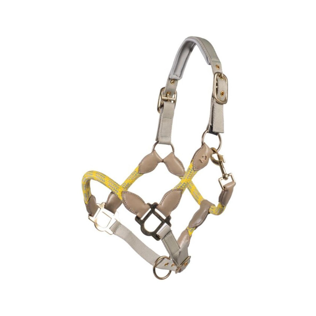 Licol -Limone Sportive- Jaune