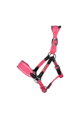 Licol -Maui- pour shettys