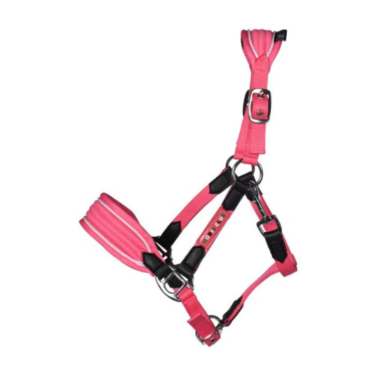 Licol -Maui- pour shettys