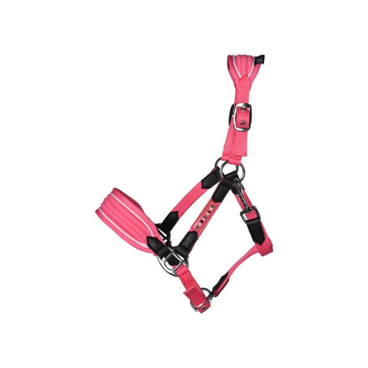 Licol -Maui- pour shettys