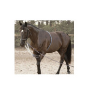 Enrênement SOFT ROPE CANTER