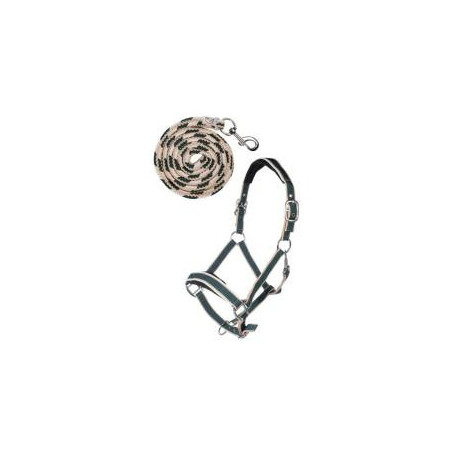 Set de licol mousqueton Kopenhagen COB