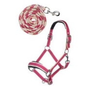 Set de licol mousqueton Kopenhagen PONEY