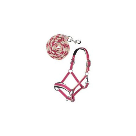 Set de licol mousqueton Kopenhagen PONEY