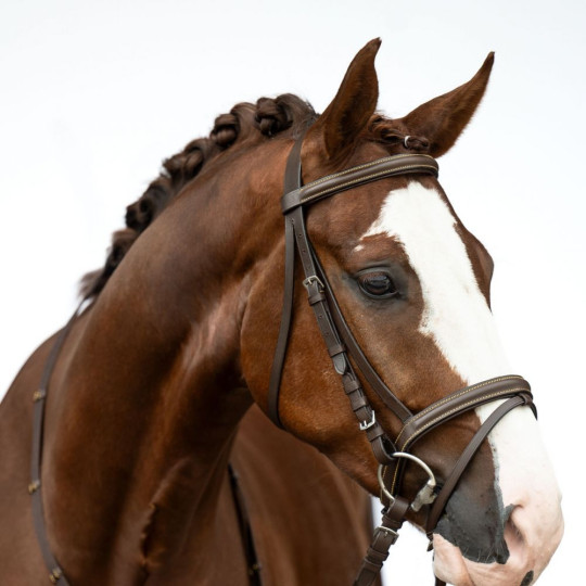 BRIDON LOU MARRON