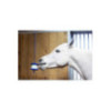 SUPPORT LIKIT