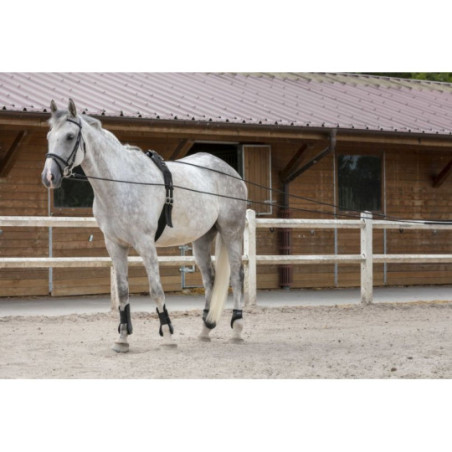 Longues rênes RIDING WORLD cuir/corde 10M