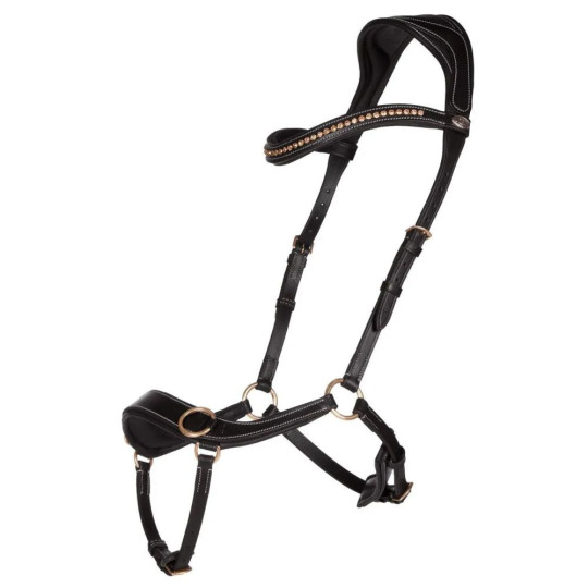 Bridon sans mors Anatomical Noir