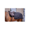 Couvre-reins Quarter Classic Rain  PADDOCK