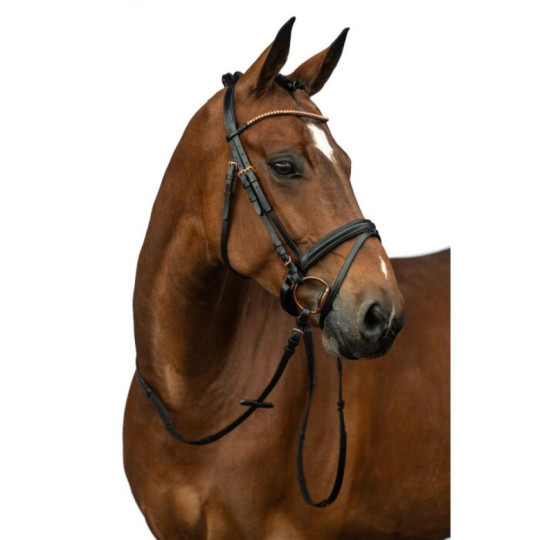 Bridon Rosegold Glamour Style