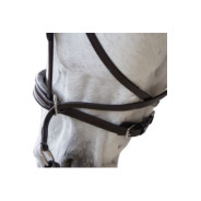 Bridon CANTER bitless Evolution Marron