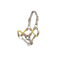 Licol -Limone Sportive- Jaune