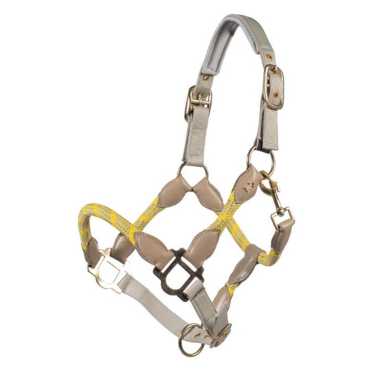 Licol -Limone Sportive- Jaune
