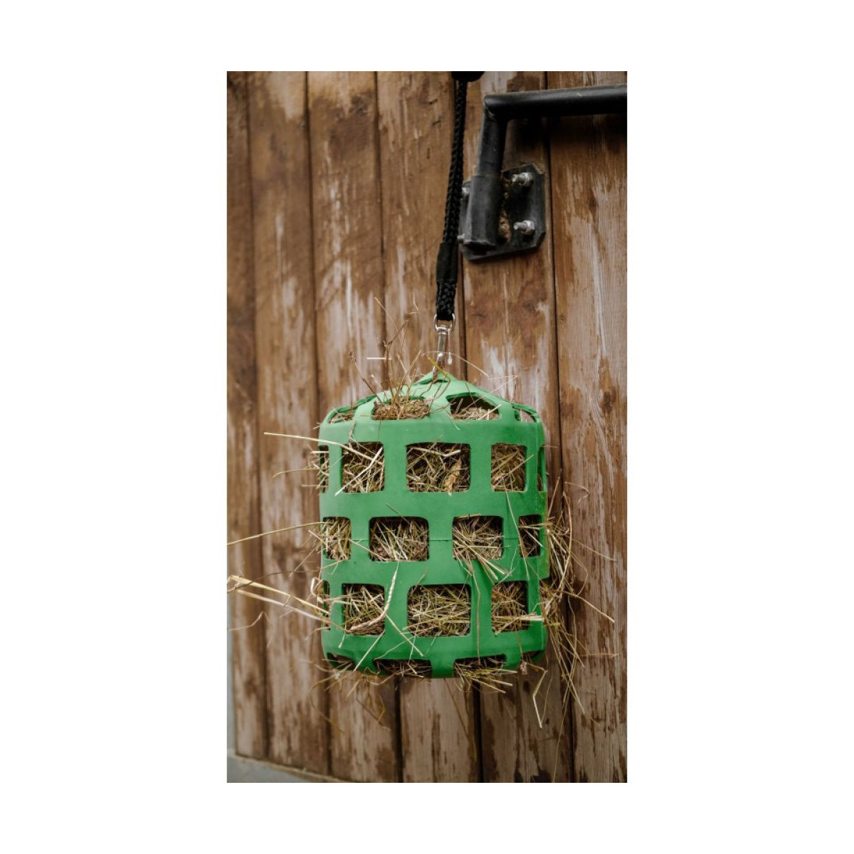 Panier + longe antiglouton HIPPOTONIC