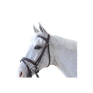 Bridon CANTER Ornella