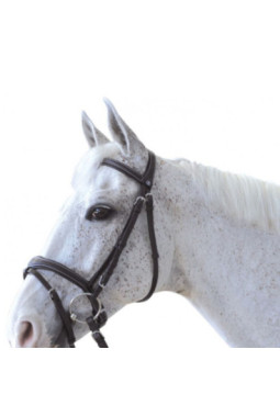 Bridon CANTER Ornella