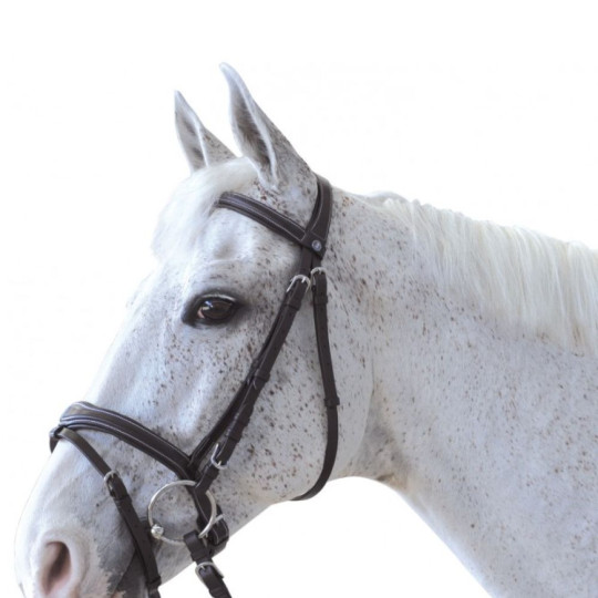 Bridon CANTER Ornella