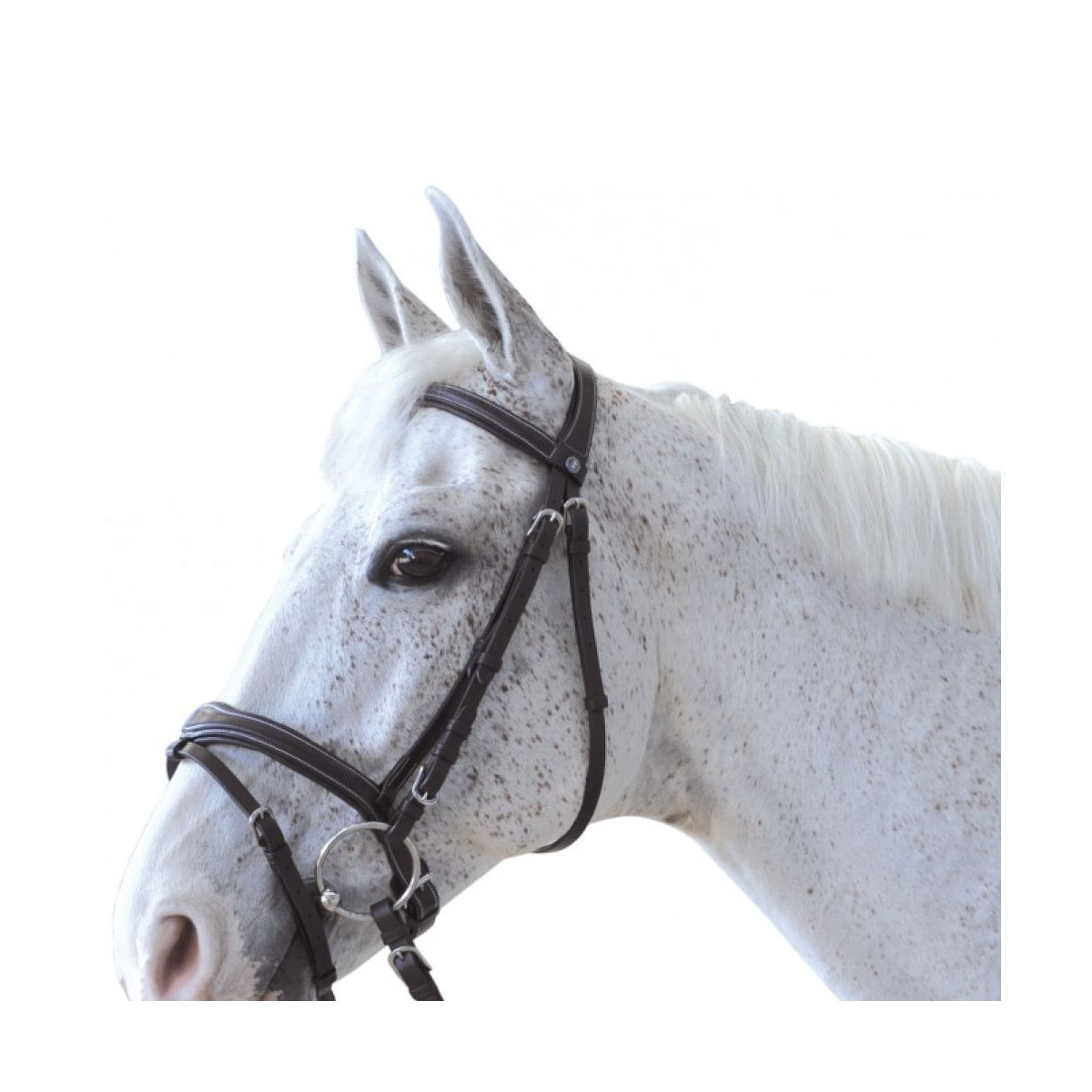 Bridon CANTER Ornella