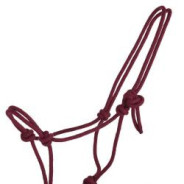 Licol corde basic COULEUR ALEATOIRE