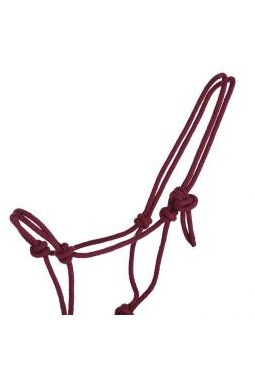 Licol corde basic COULEUR ALEATOIRE