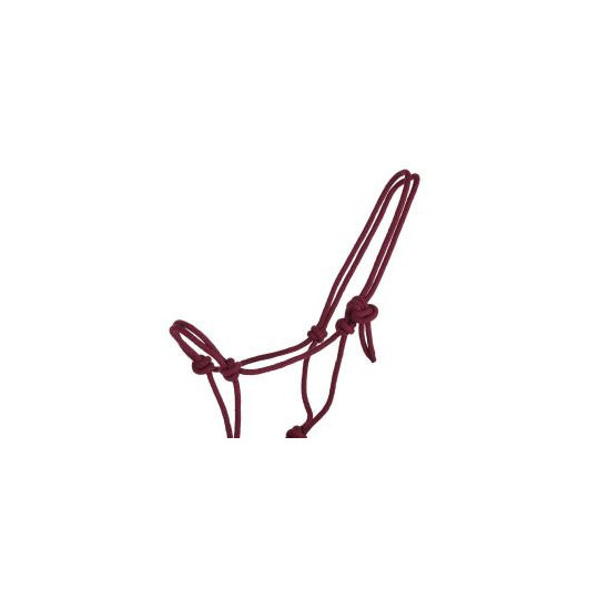 Licol corde basic COULEUR ALEATOIRE